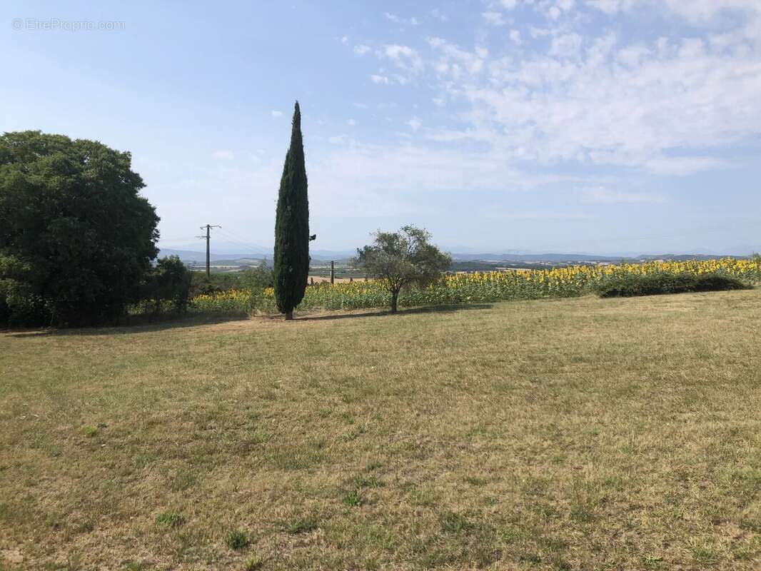 Maison à CARCASSONNE