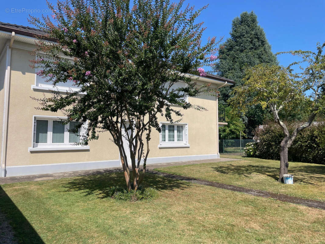 IMG_1563 - Maison à OLORON-SAINTE-MARIE