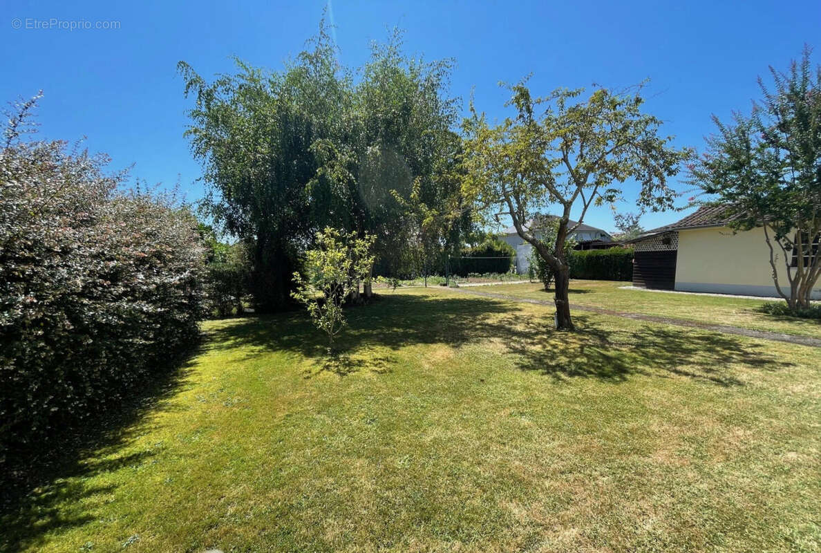 IMG_4062 - Maison à OLORON-SAINTE-MARIE