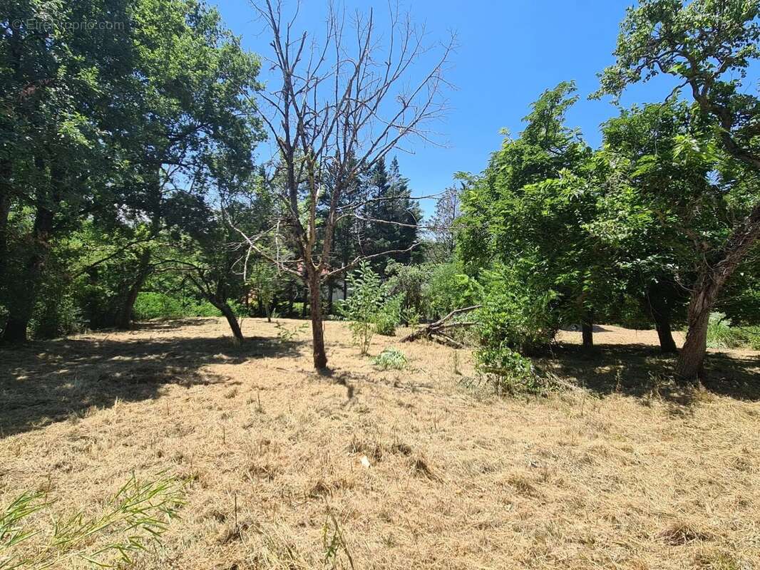 Terrain à ROUFFIAC-TOLOSAN