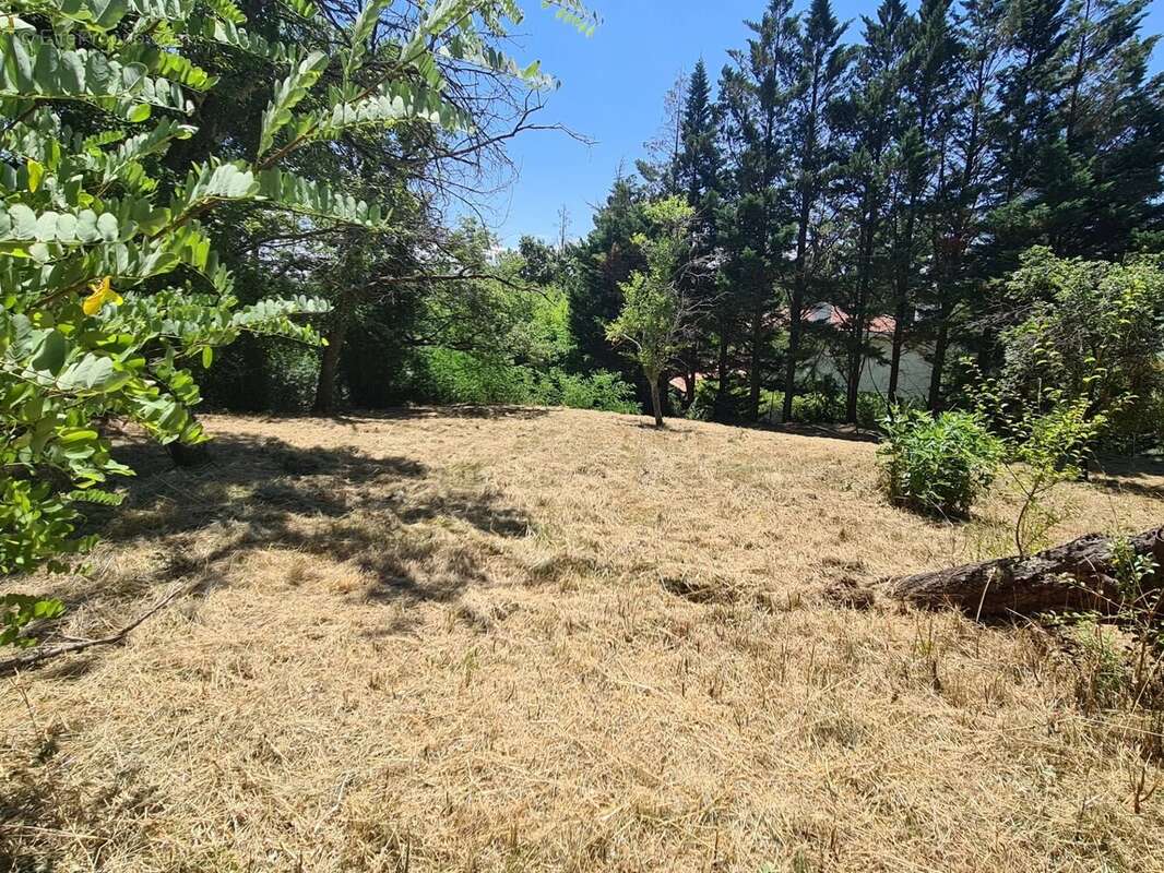 Terrain à ROUFFIAC-TOLOSAN