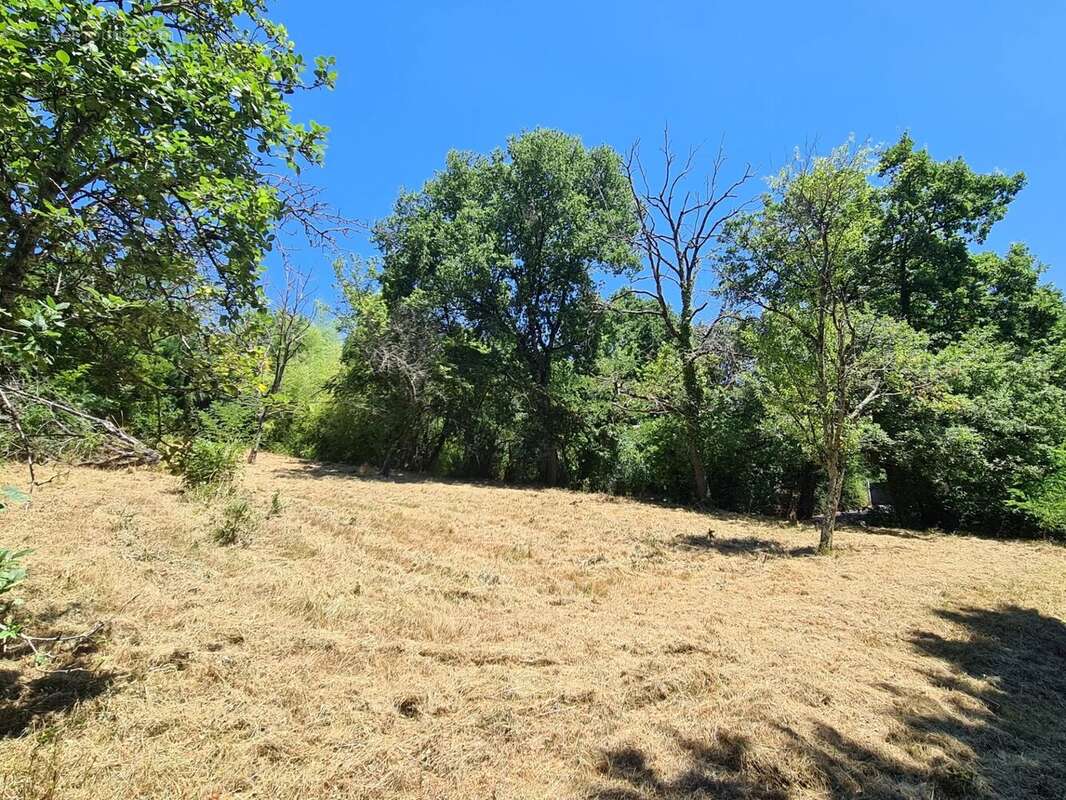 Terrain à ROUFFIAC-TOLOSAN