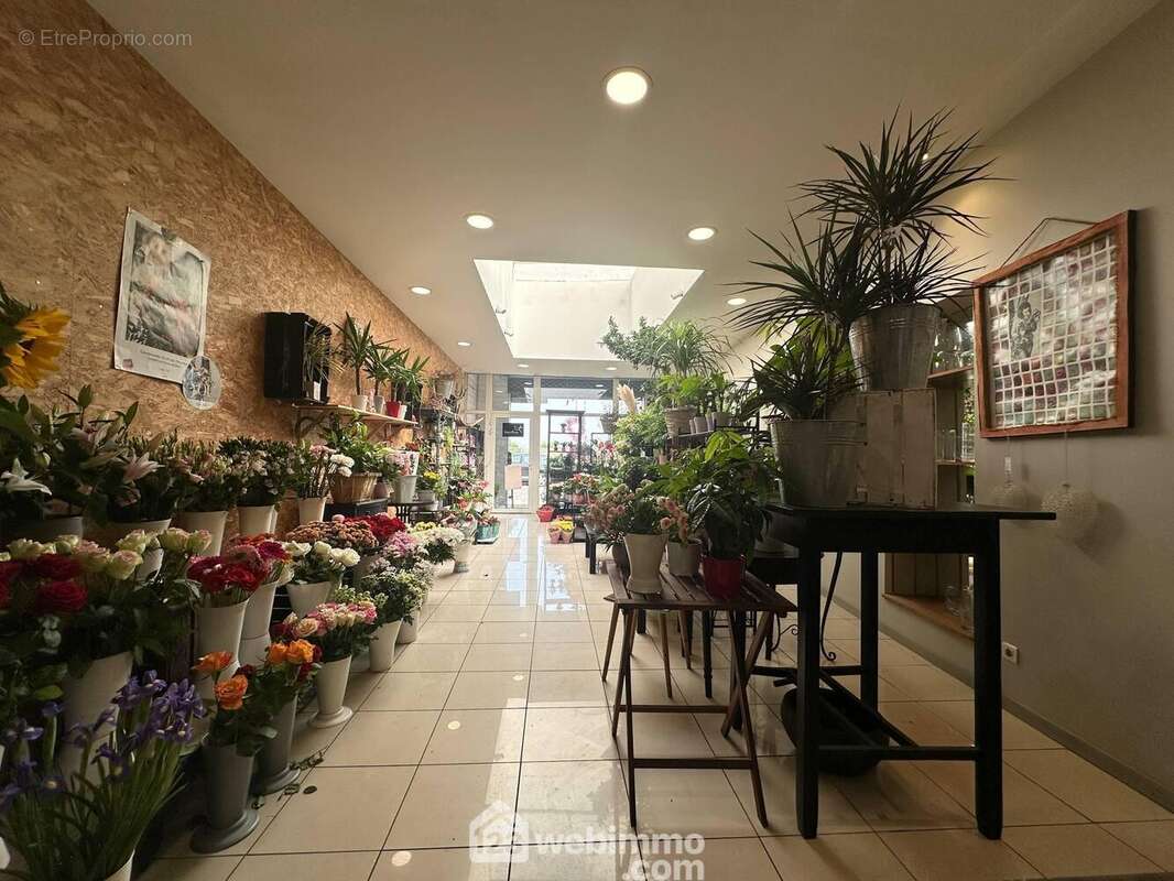 L&#039;espace boutique de 52 m² - Commerce à LAON