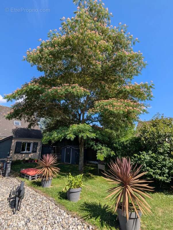 Maison à AUTHEUIL-AUTHOUILLET