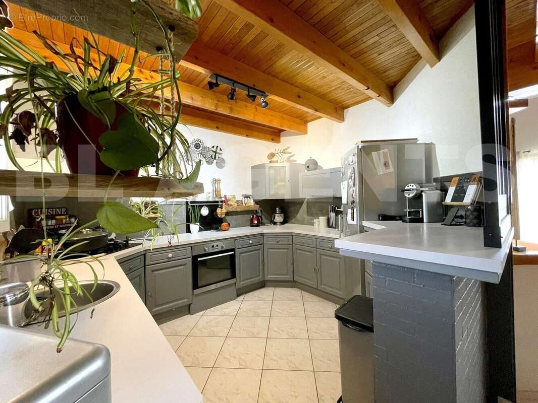 IMG_9745 - Maison à PUJAUDRAN