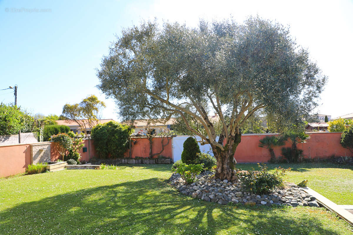 Maison à MESCHERS-SUR-GIRONDE