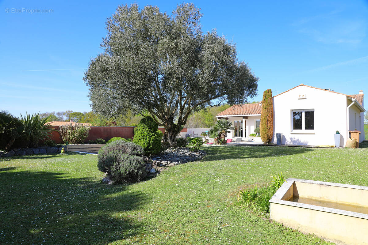 Maison à MESCHERS-SUR-GIRONDE