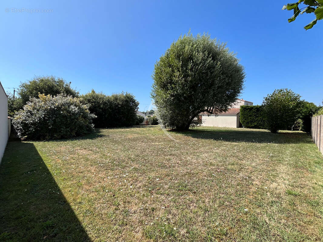 Terrain à SAINT-HILAIRE-DE-RIEZ