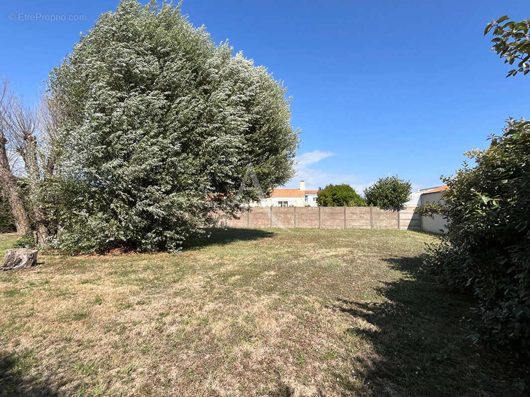 Terrain à SAINT-HILAIRE-DE-RIEZ