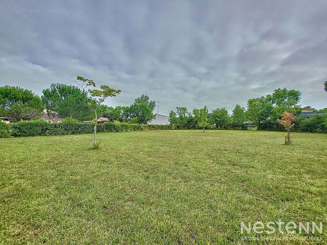 Terrain à SAINT-PUY