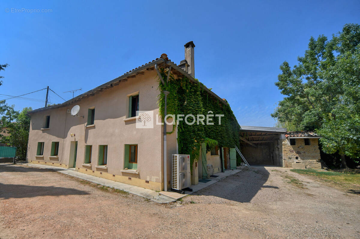 Maison à LISLE-SUR-TARN