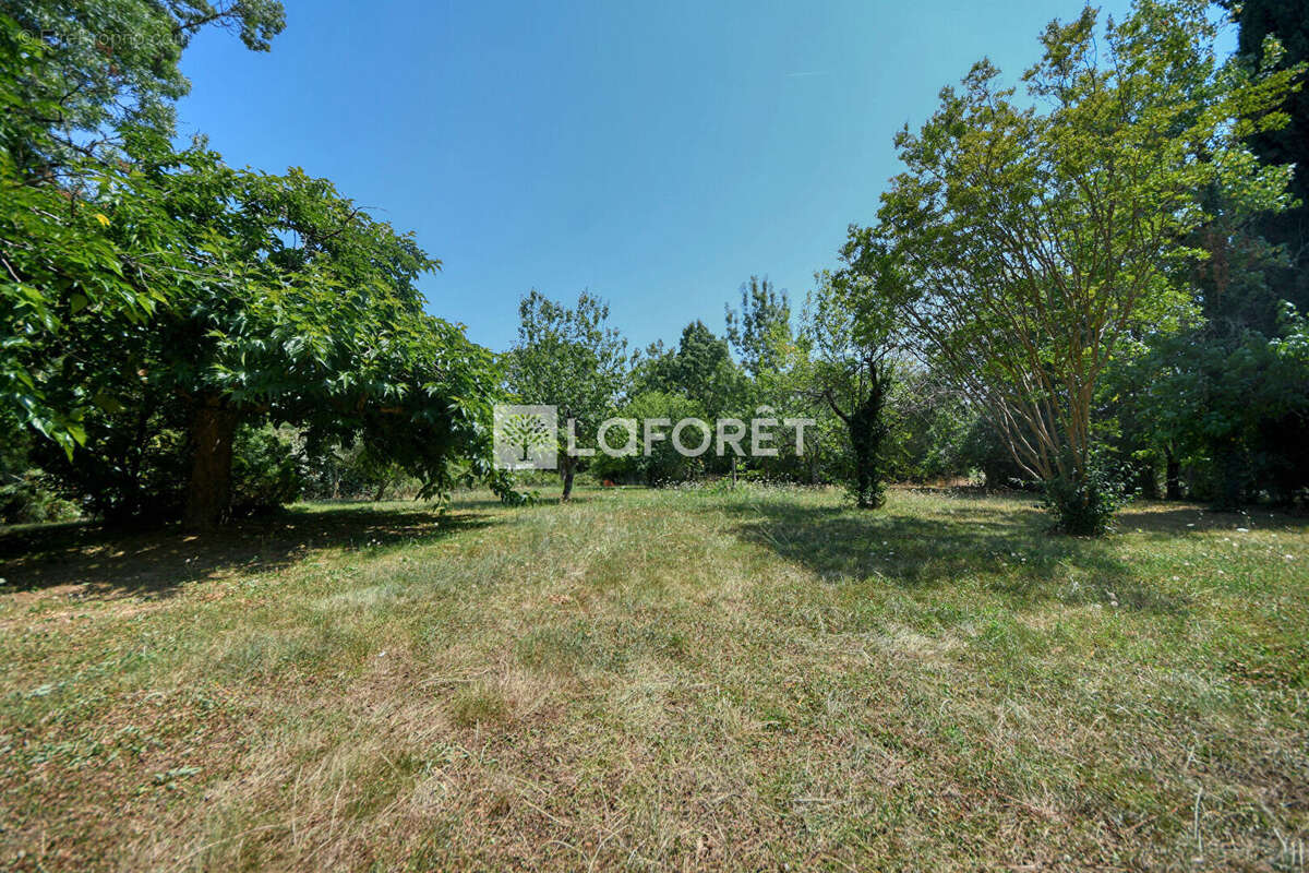 Maison à LISLE-SUR-TARN