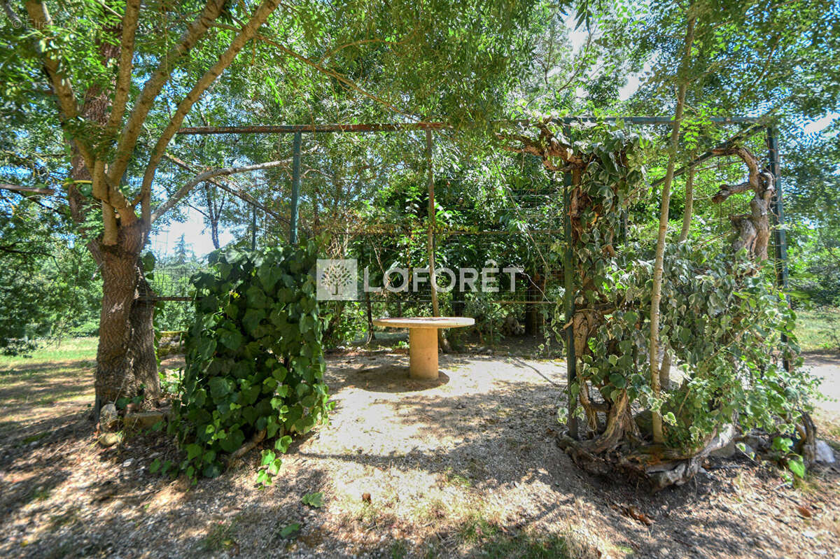 Maison à LISLE-SUR-TARN