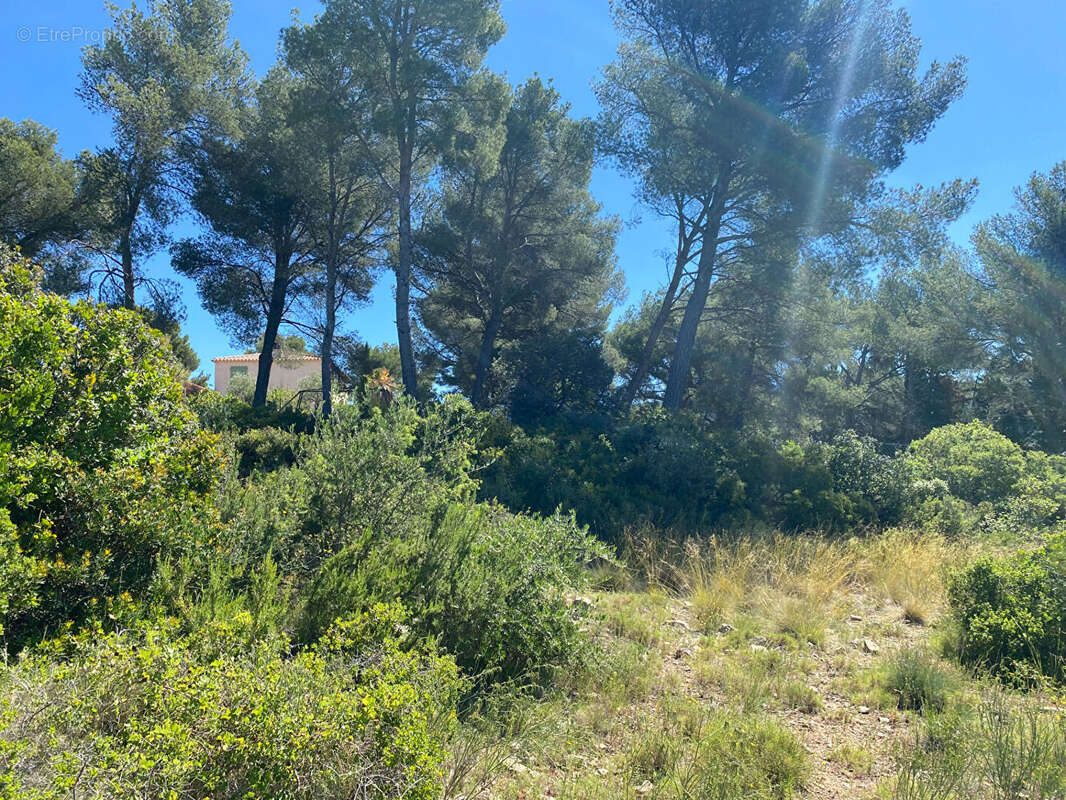 Terrain à CEYRESTE