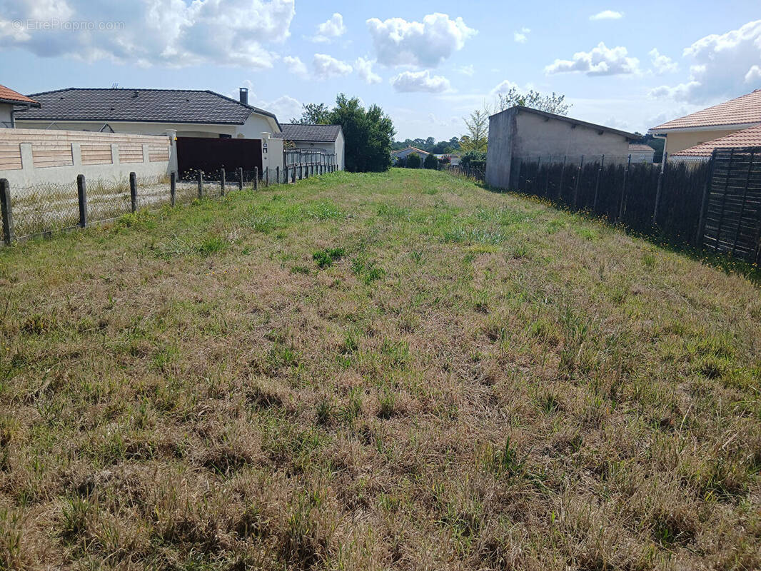 Terrain à CASTELNAU-DE-MEDOC