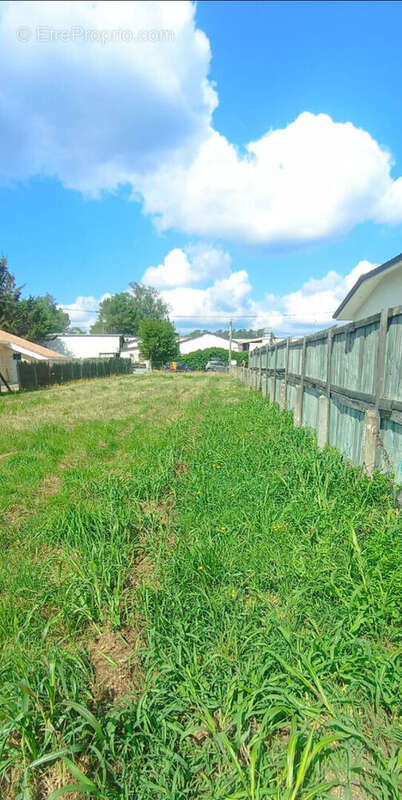 Terrain à CASTELNAU-DE-MEDOC