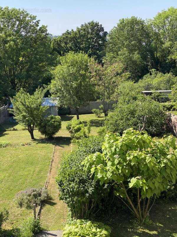 Jardin - Maison à COULOMMIERS