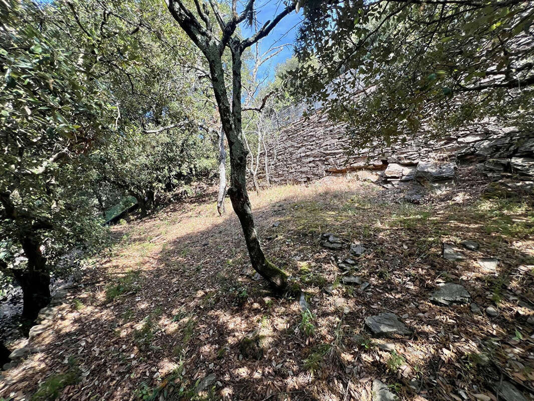 Maison à CAUNES-MINERVOIS