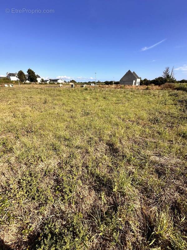 Terrain à GOULIEN