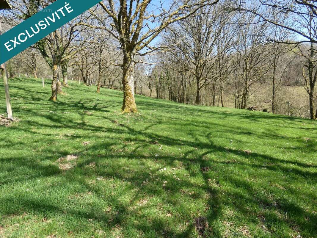 Photo 7 - Maison à CHAMPAGNEY