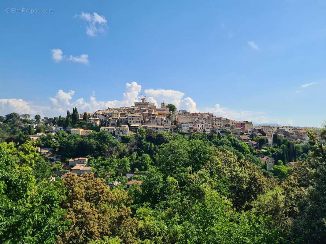 Photo 3 - Maison à CAGNES-SUR-MER