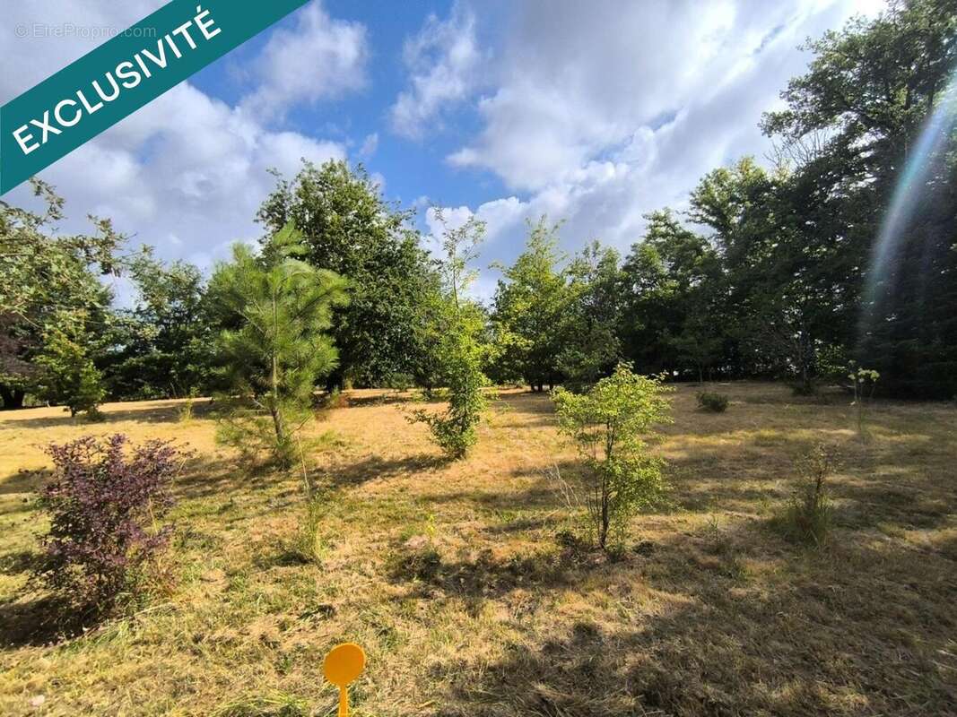 Photo 5 - Terrain à VERGT