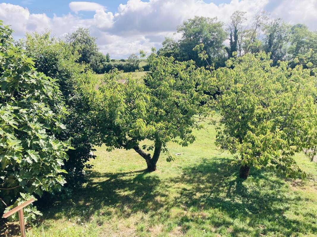 Photo 6 - Maison à SAINT-GEORGES-D&#039;ESPERANCHE