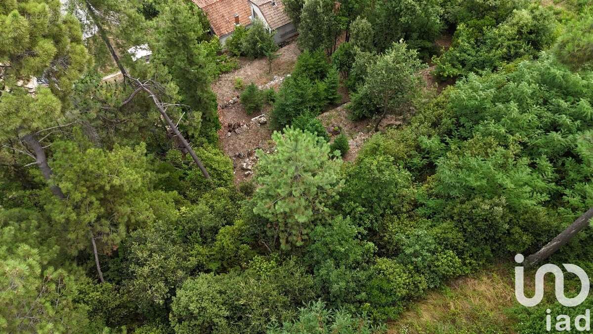 Photo 3 - Terrain à AUBENAS