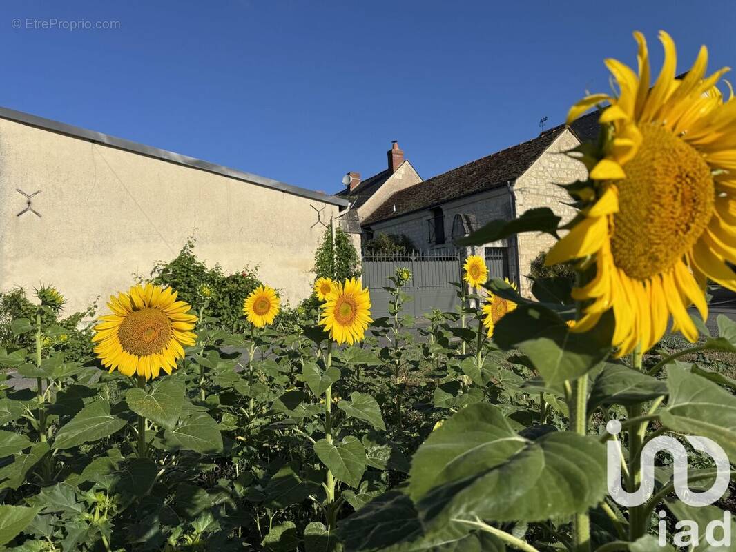 Photo 1 - Maison à CRAVANT-LES-COTEAUX