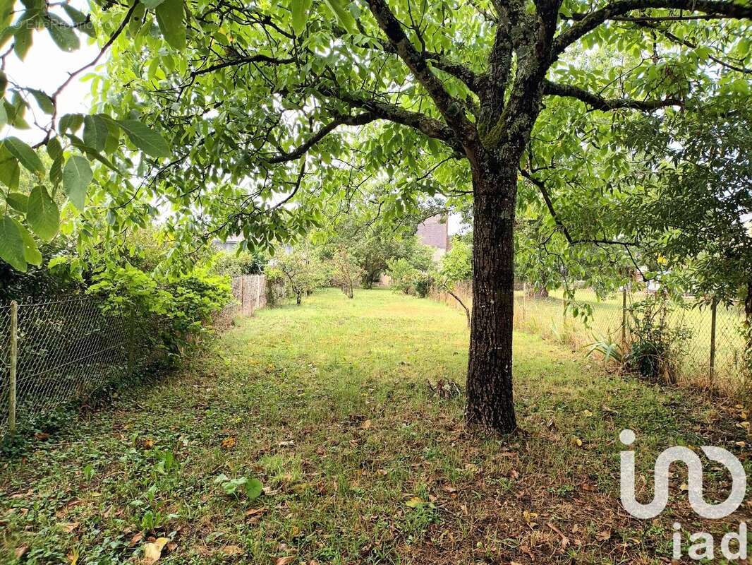 Photo 4 - Maison à NOYERS-SUR-CHER