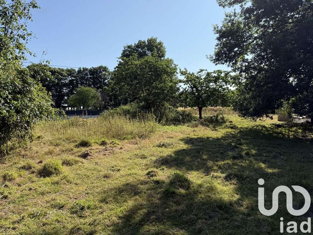 Photo 3 - Maison à SAINT-GILLES