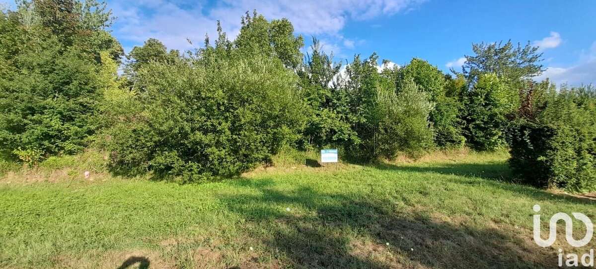 Photo 2 - Terrain à PONT-DU-CASSE