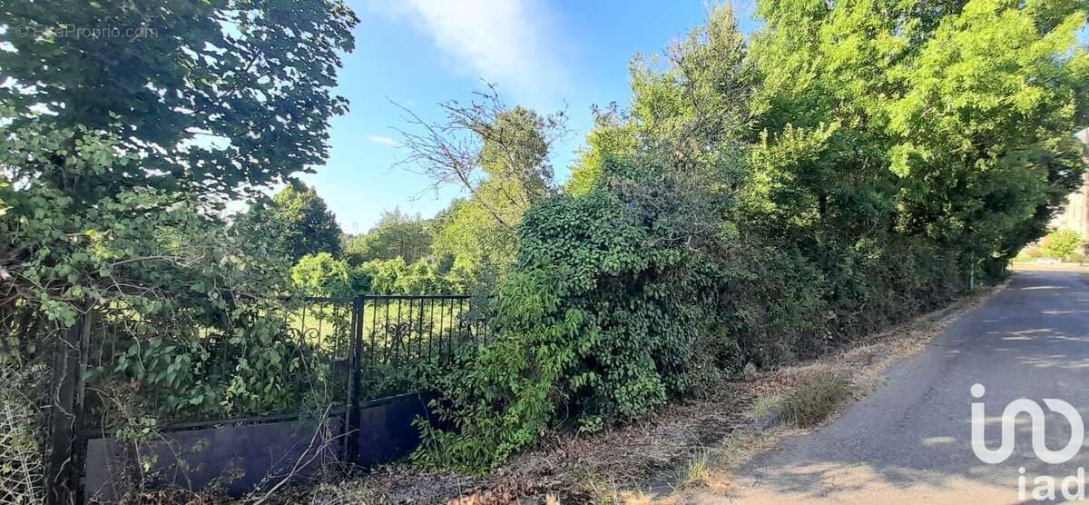 Photo 5 - Terrain à PONT-DU-CASSE