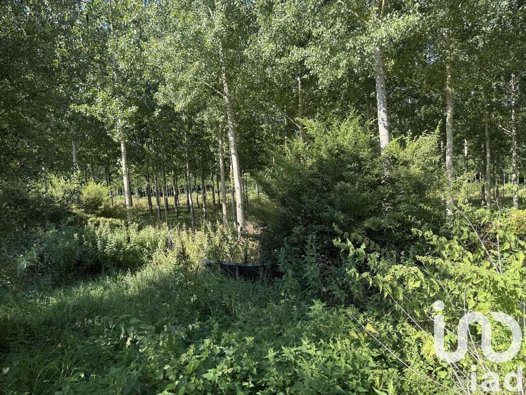 Photo 4 - Maison à SAINT-MARTIN-DE-SESCAS