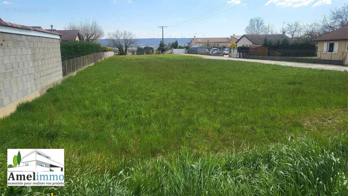 Terrain à BEAUREPAIRE