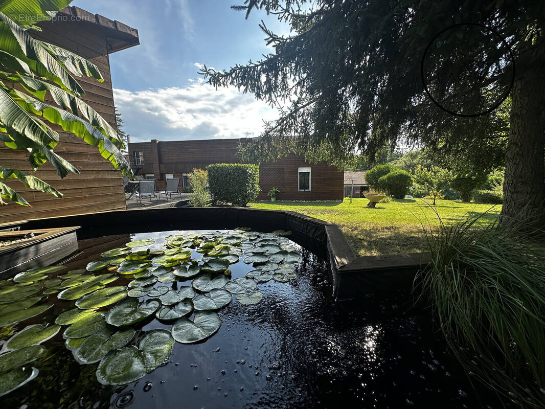 Maison à MONT-SUR-MEURTHE