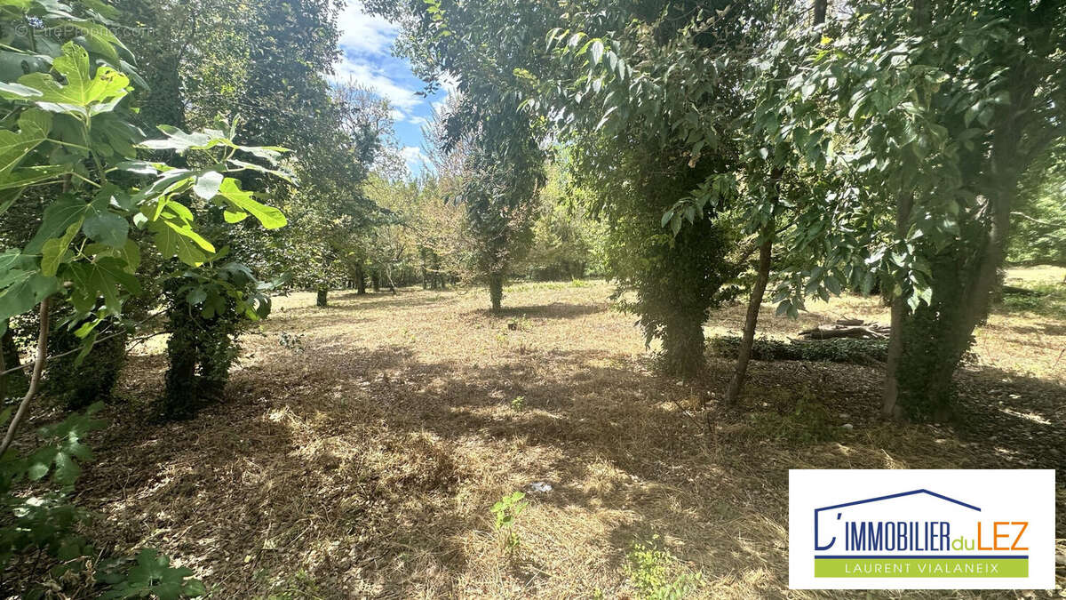 Appartement à LIOUC