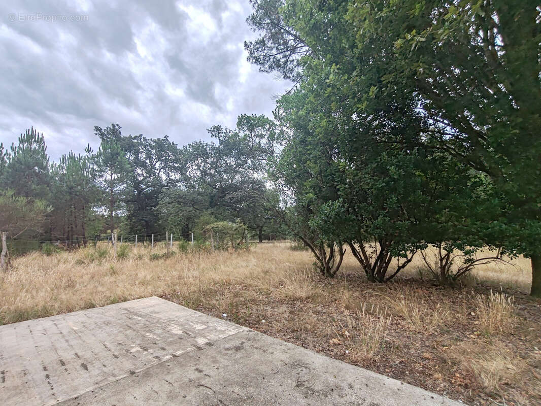 Maison à LABOUHEYRE