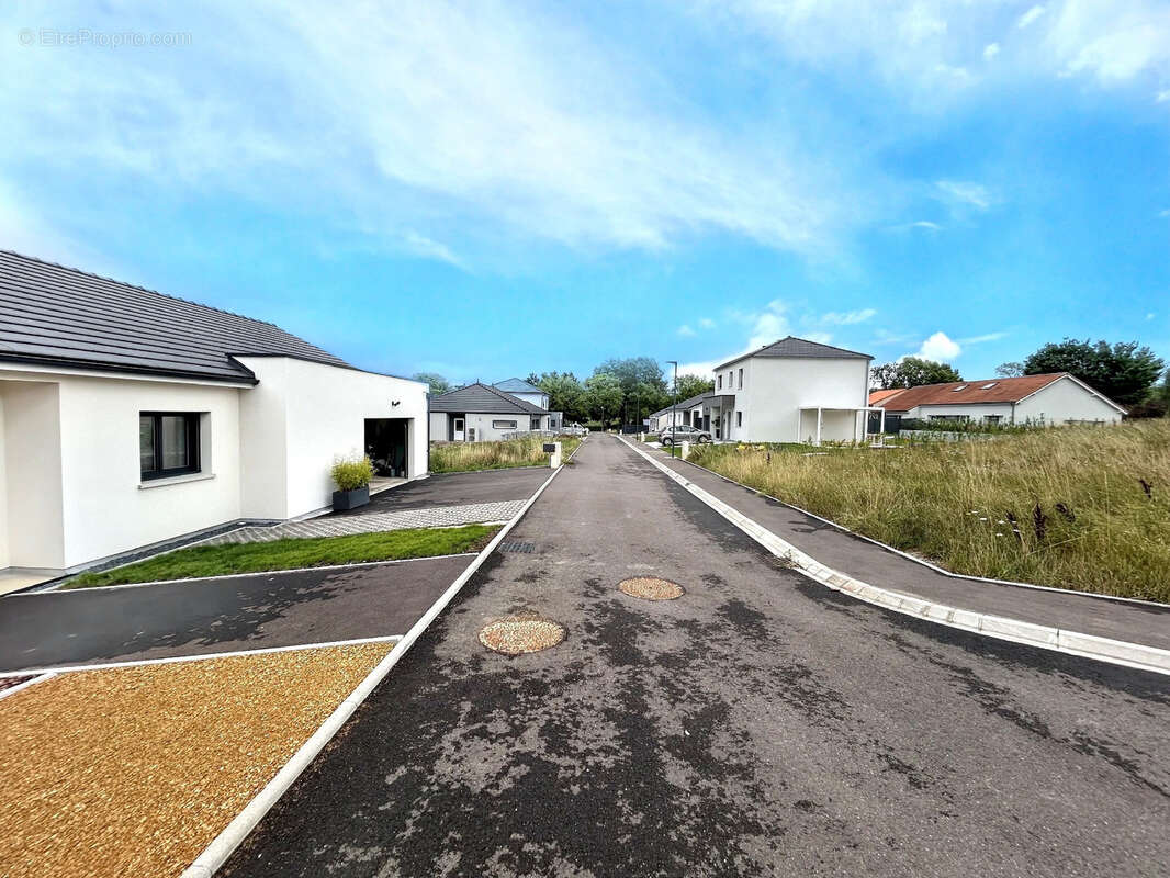 Terrain à FAULQUEMONT