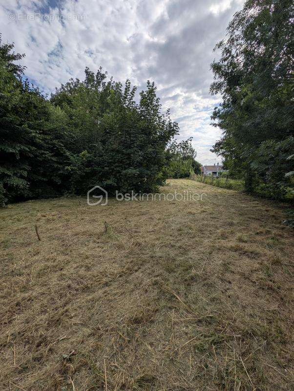 Terrain à LE QUESNEL