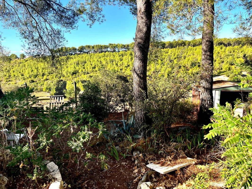 Terrain à LE CASTELLET