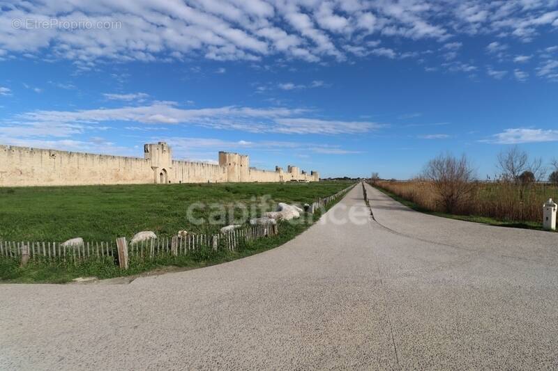 Commerce à AIGUES-MORTES