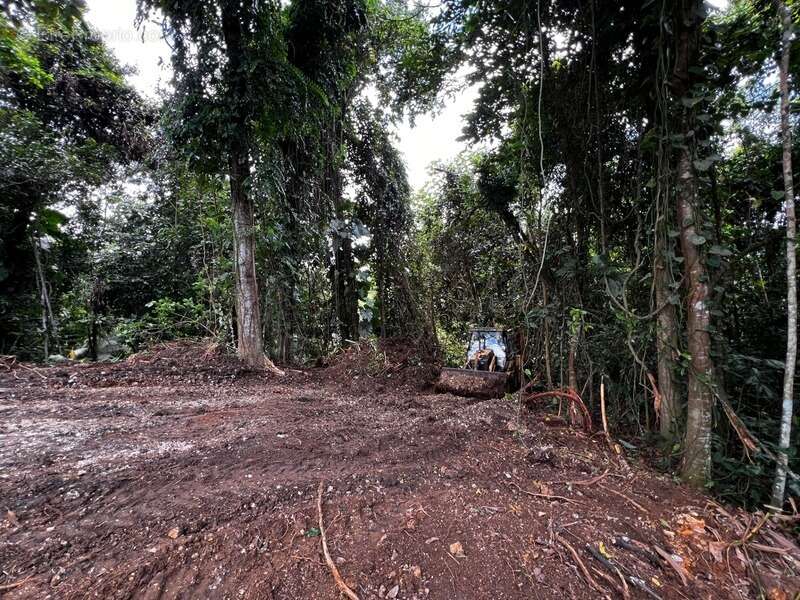Terrain à PETIT-BOURG