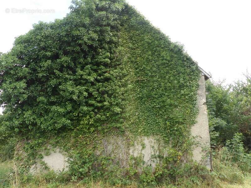 Maison à SAINT-MARCEL-EN-MARCILLAT