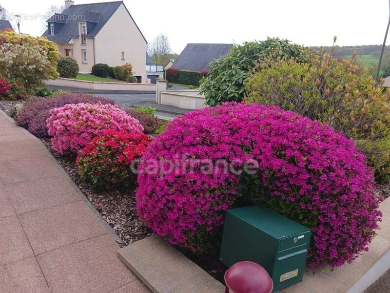 Maison à LE NEUFBOURG