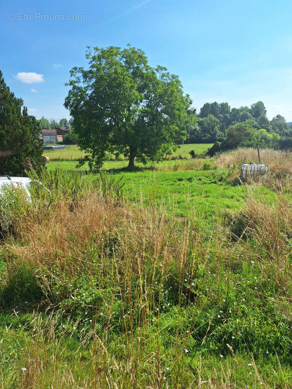 Maison à BAILLEUL-SUR-THERAIN