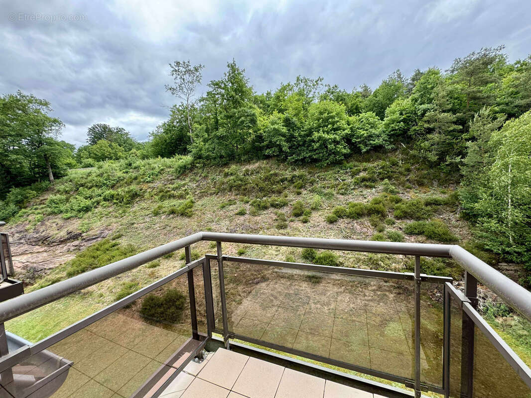 Appartement à INGWILLER