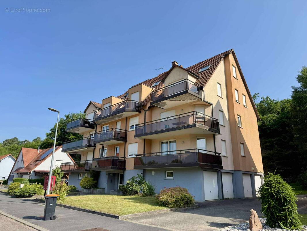 Appartement à INGWILLER