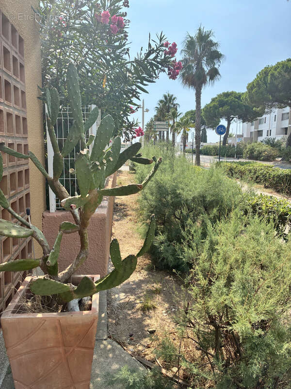 Appartement à GRUISSAN