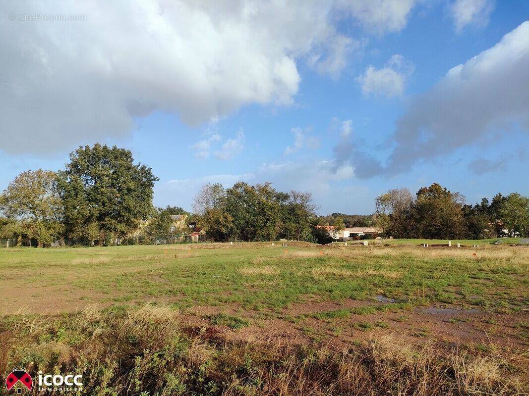 Terrain à MAREUIL-SUR-LAY-DISSAIS